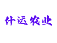 什运乡种地攻略：有机肥咋选？水肥一体化咋用？本地老农全唠透【海南省琼中县】