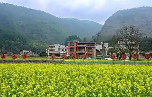 湖南省湘西州龙山县茅坪乡金沙村图片