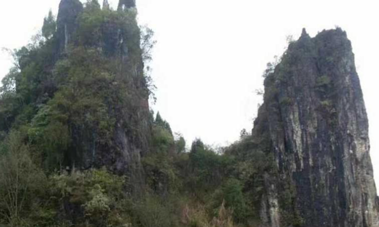 湖南省湘西州龙山县茅坪乡干坝村图2
