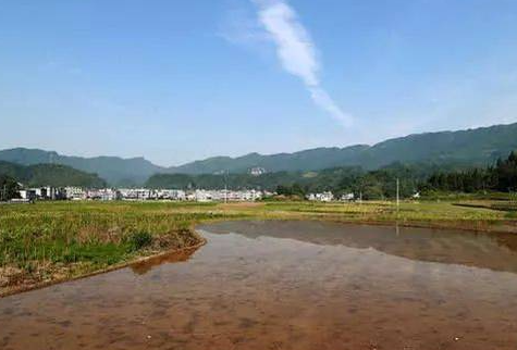 湖南省湘西州龙山县茅坪乡竹柯村图片