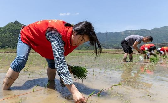 湖南省湘西州龙山县茅坪乡农业 湖南省湘西州龙山县茅坪乡农业