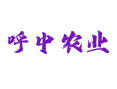 黑龙江大兴安岭地区呼中区
