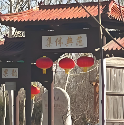 山东省菏泽市鲁西新区吕陵镇周庄村图片
