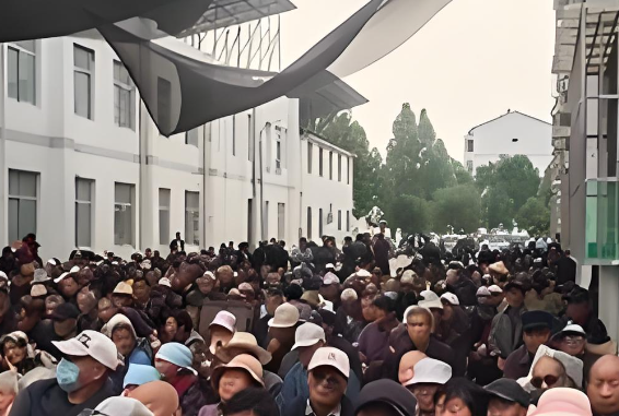 山东省菏泽市鲁西新区吕陵镇杨宦庄村图片