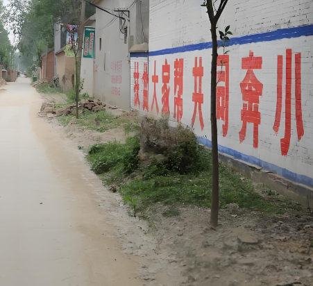 山东省菏泽市鲁西新区吕陵镇陈庄村图片