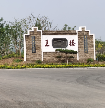 山东省菏泽市鲁西新区吕陵镇王楼村图片