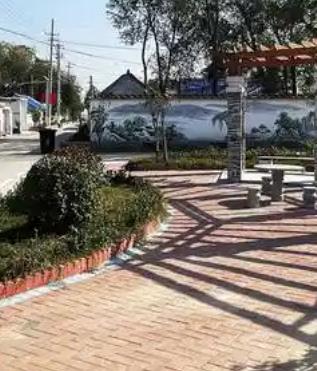 山东省菏泽市鲁西新区吕陵镇孙大园村图片