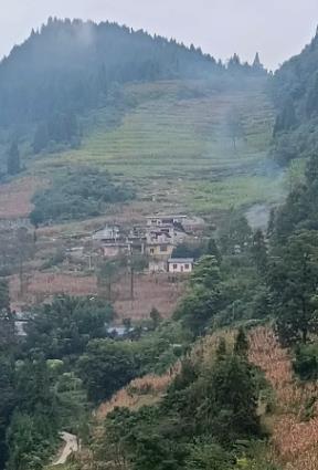 陕西省商洛市柞水县瓦房口镇大河村图片