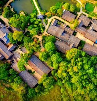 陕西省商洛市柞水县瓦房口镇金岭村图片