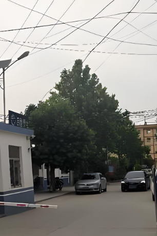 吕陵镇夏陈村图片