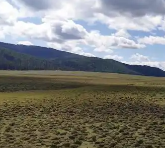 新疆阿勒泰地区铁热克提乡牧场
