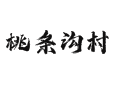 北京延庆珍珠泉乡桃条沟村：毛桃采摘 + 翠鸟谷耍处全攻略