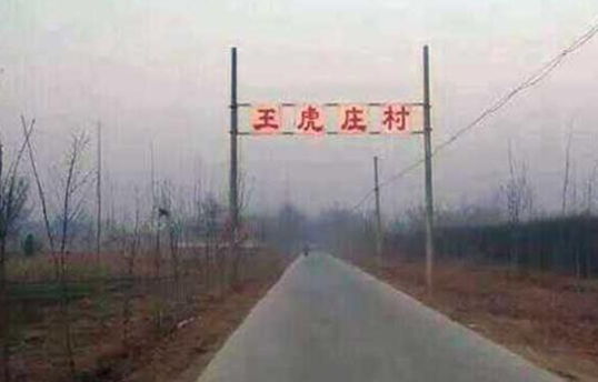 乔屯乡王虎庄村图片
