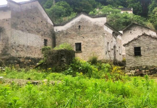 乔屯乡赵家岭村一角图片