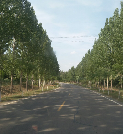 蓟州孙各庄乡建新村省级公路图片