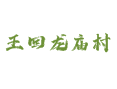 深州乔屯乡王回龙庙村近年来的变化大吗？G240国道沿线丨形意拳+梅花拳丨观音禅寺丨衡水丨河北