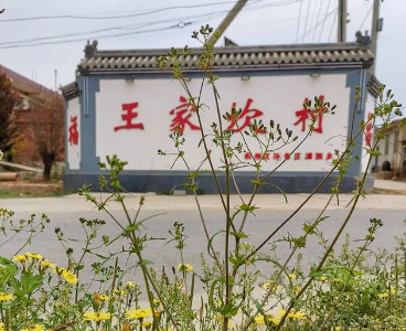 孙各庄乡王家坎村图片
