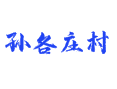 天津市蓟州区孙各庄乡孙各庄村
