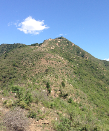 孙各庄乡朱耳峪村铁塔野山图片