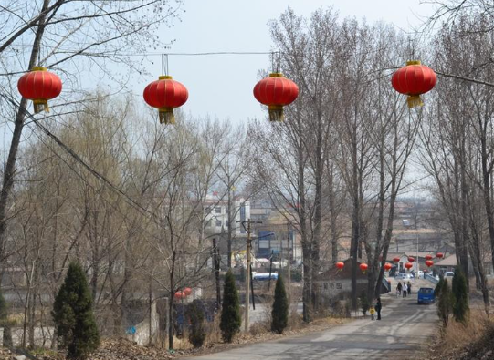 汾阳市阳城乡北庄村图片