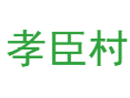 山西省吕梁市汾阳市阳城镇孝臣村