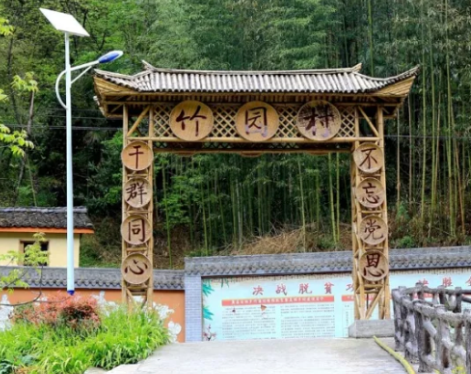 下冶镇竹园村村口图片