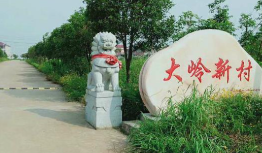 下冶镇大岭村（新村）图片