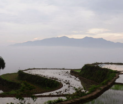 下冶镇郑山村山河风景图片