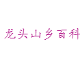 江西省上饶市德兴市龙头山乡百科