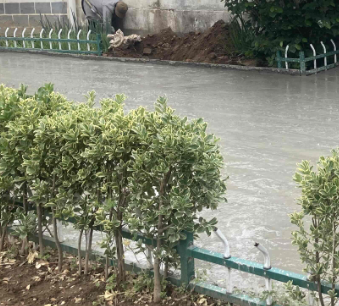 下冶镇官洗沟村大雨沿路图片
