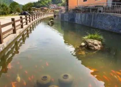 龙南乡建兴村小桥流水图片