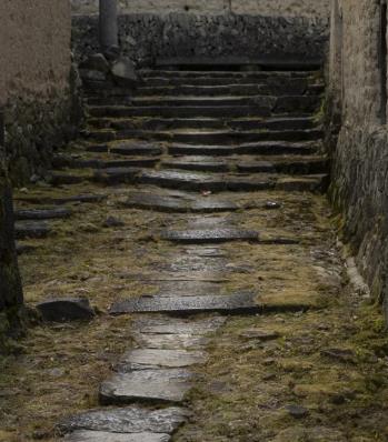 龙南乡兴川村古道石阶图片