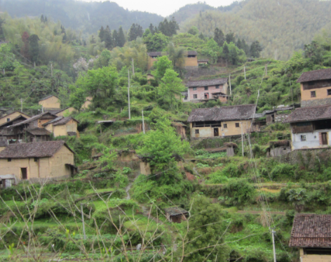 龙南乡坞坑村山间民居图片