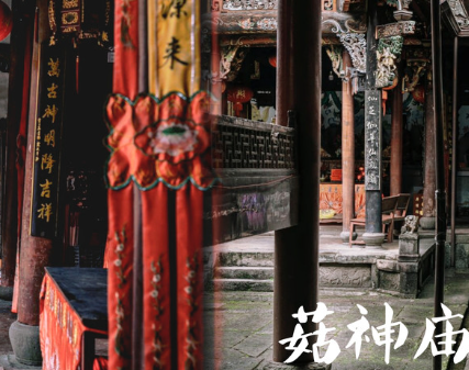 龙南乡下田村菇神庙图片