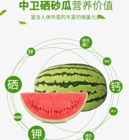 卫硒砂瓜.png