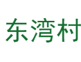 宁夏宁东区宁东镇东湾村.png