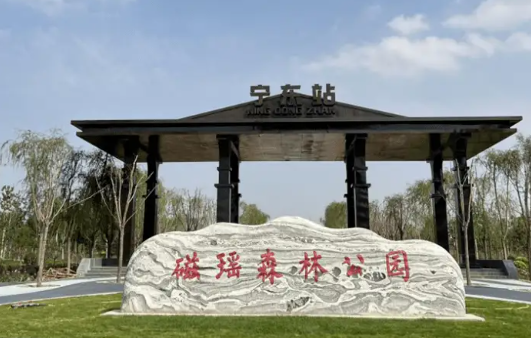 宁东镇磁瑶森林公园