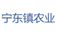 宁东镇产业布局：磁窑堡煤矿智能化+赤霞珠葡萄亩产1200公斤丨光伏分红人均1200元+煤化工辅助工月薪3000元丨宁东区丨宁夏