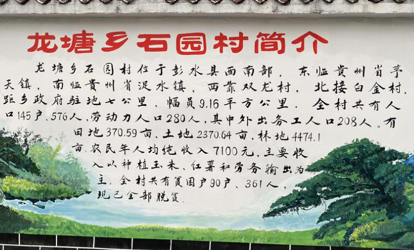 龙塘乡石园村简介墙图片