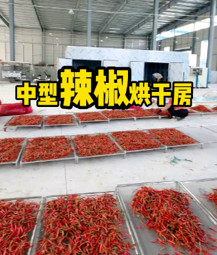 龙塘乡石园村辣椒烘干厂