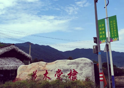 龙湾镇棠棣村之花木棠棣
