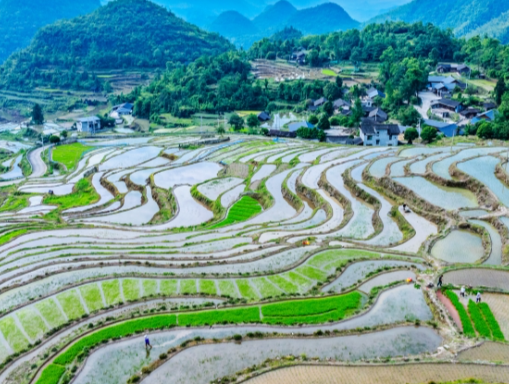 龙塘乡双龙村梯田景观