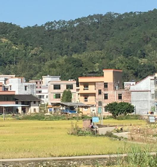 罗定市龙湾镇旗垌村村貌图片.jpg