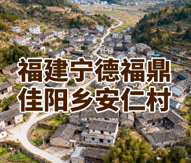福建宁德福鼎佳阳乡安仁村实景图.png