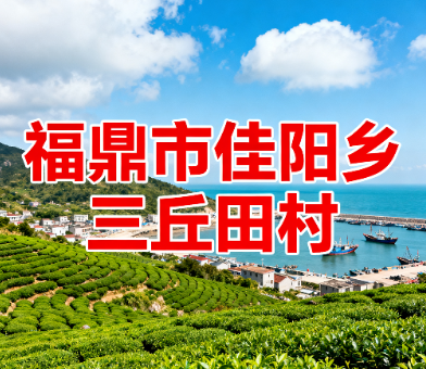 福鼎市佳阳乡三丘田村村域山海实景.png