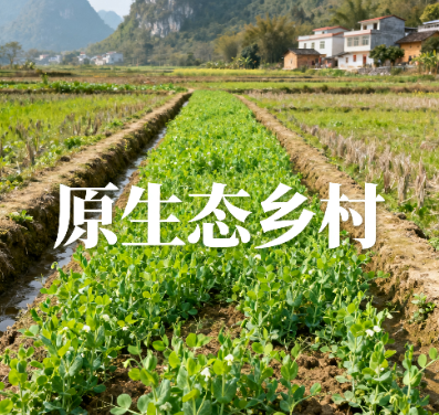 崇左市凭祥那楼田园景.png