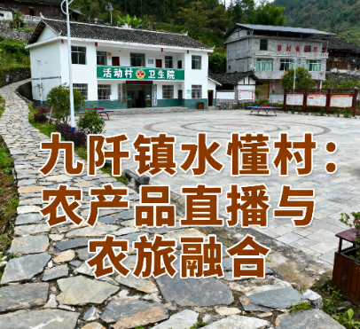 2.九阡镇水懂村：农产品直播与农旅融合.png