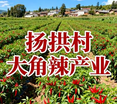 三都县九阡镇扬拱村大角辣产业.jpg