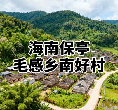 海南保亭南好村・海南省卫生村.jpg