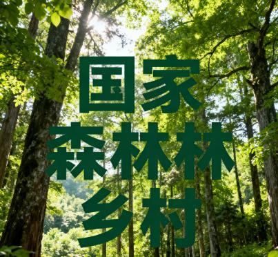 海南保亭毛感乡南好村-国家森林乡村.jpg